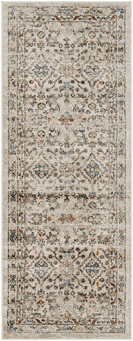 Pertek 87 X 31 inch Taupe Rug, Runner