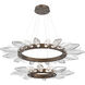 Rock Crystal LED Flat Bronze Chandelier Ceiling Light, Radial Ring Two Tier