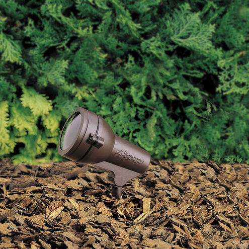 Hid High Intensity Discharge 120 50.00 watt Textured Architectural Bronze Landscape 120V Accent