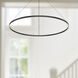 Cerchio Pendant Ceiling Light in Black