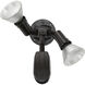 Brentwood 2 Light 5 inch Bronze Outdoor Flood Light