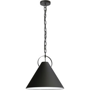 Princeton 1 Light 16.00 inch Pendant
