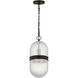Alexa Hampton Lucinda 1 Light 8 inch Aged Iron Pendant Ceiling Light