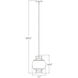 Lucid LED 11 inch Black Outdoor Pendant