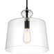 Clarity 1 Light 13 inch Coal Mini Pendant Ceiling Light