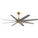 Atlas Ariella 64 inch Brushed Brass with Brushed Nickel Blades Ceiling Fan