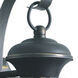 Signature 1 Light 14 inch Royal Bronze Outdoor Wall Light