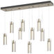 Exos Glass 10 Light 44.5 inch Soft Gold Pendant Ceiling Light in Clear, Standard Pipe