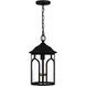 Brampton 1 Light 10 inch Matte Black Outdoor Hanging Lantern