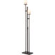 Rook 65.8 inch 100 watt Dark Smoke Twin Floor Lamp Portable Light