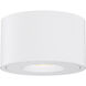 Fulcrum 1 Light 5.00 inch Flush Mount