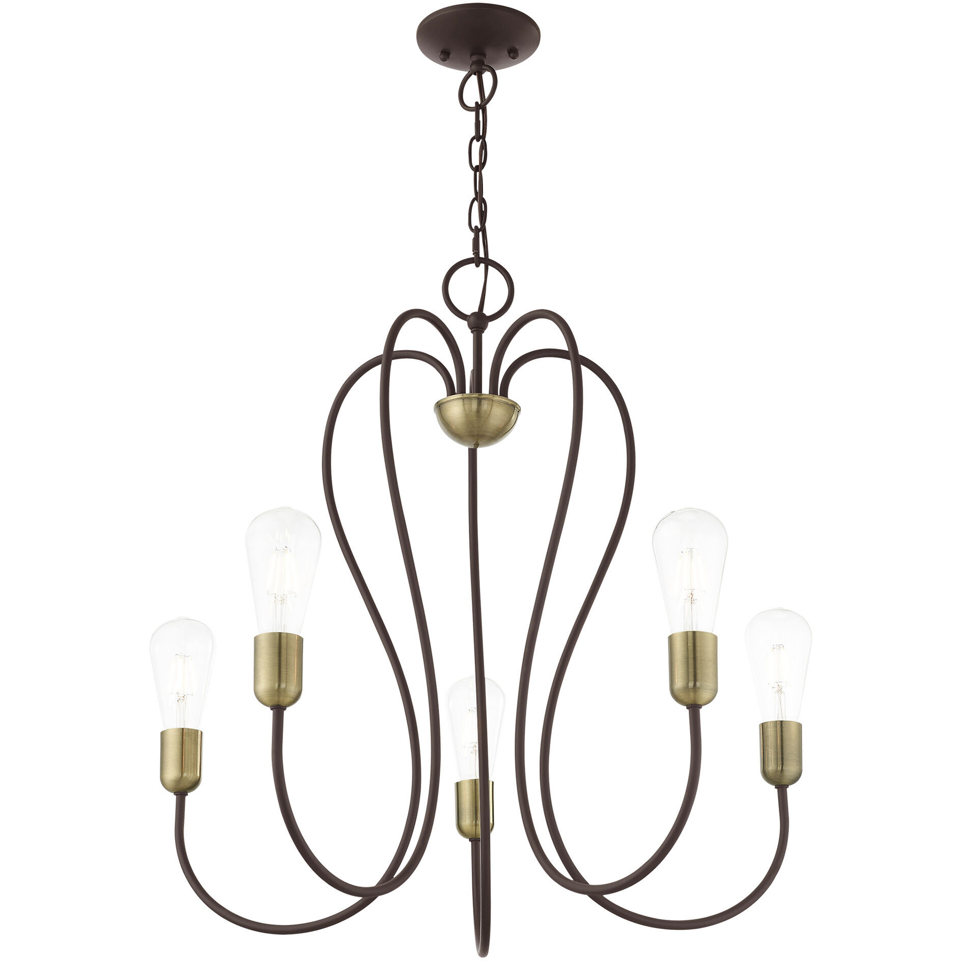 Lucerne 5 Light 24 inch Bronze with Antique Brass Accents Chandelier Ceiling Light
