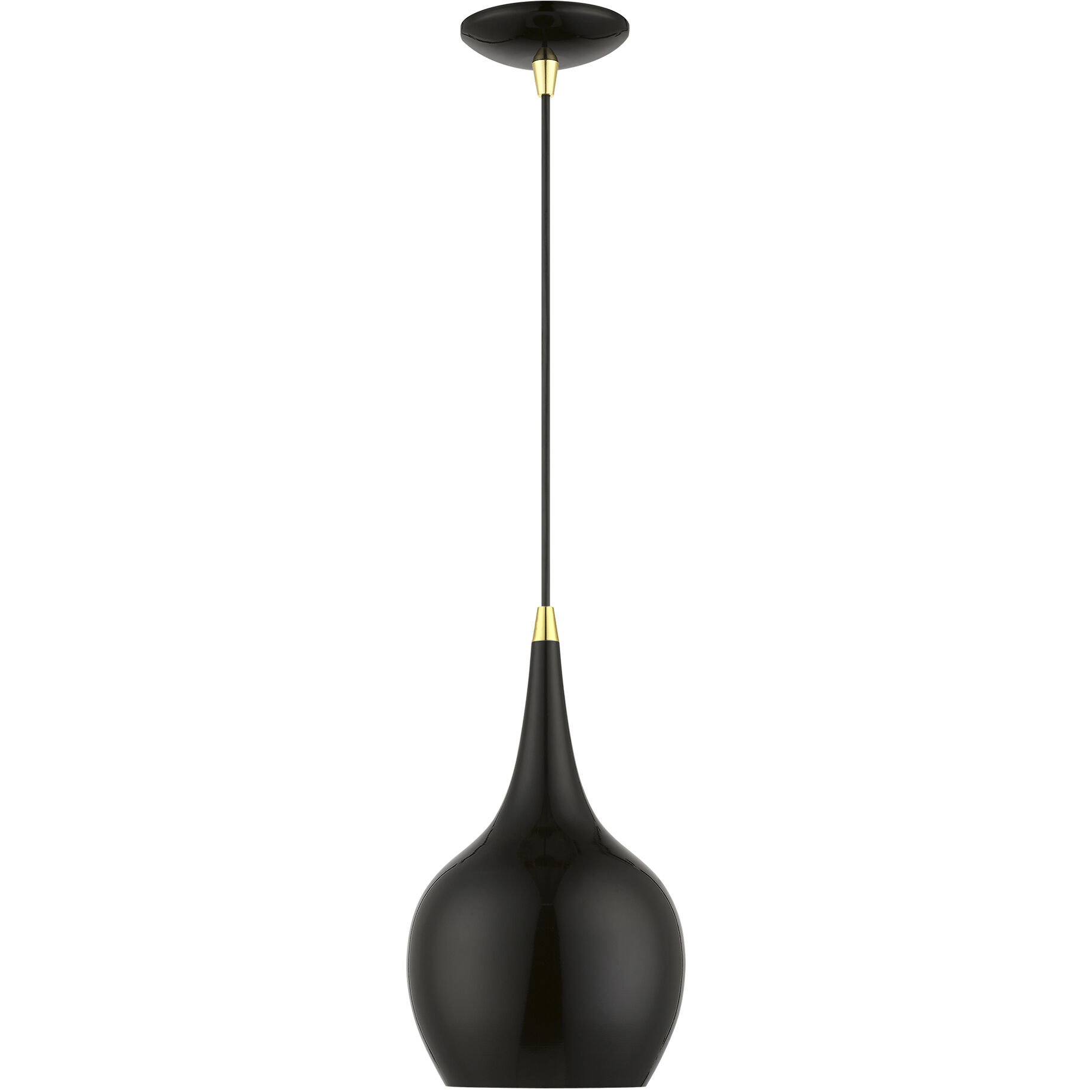 Andes 1 Light 8 inch Shiny Black with Polished Brass Accents Mini Pendant Ceiling Light