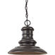 Aspel 1 Light 12 inch Restoration Bronze Outdoor Hanging Lantern