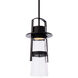 Balthus 1 Light 7 inch Black Outdoor Pendant