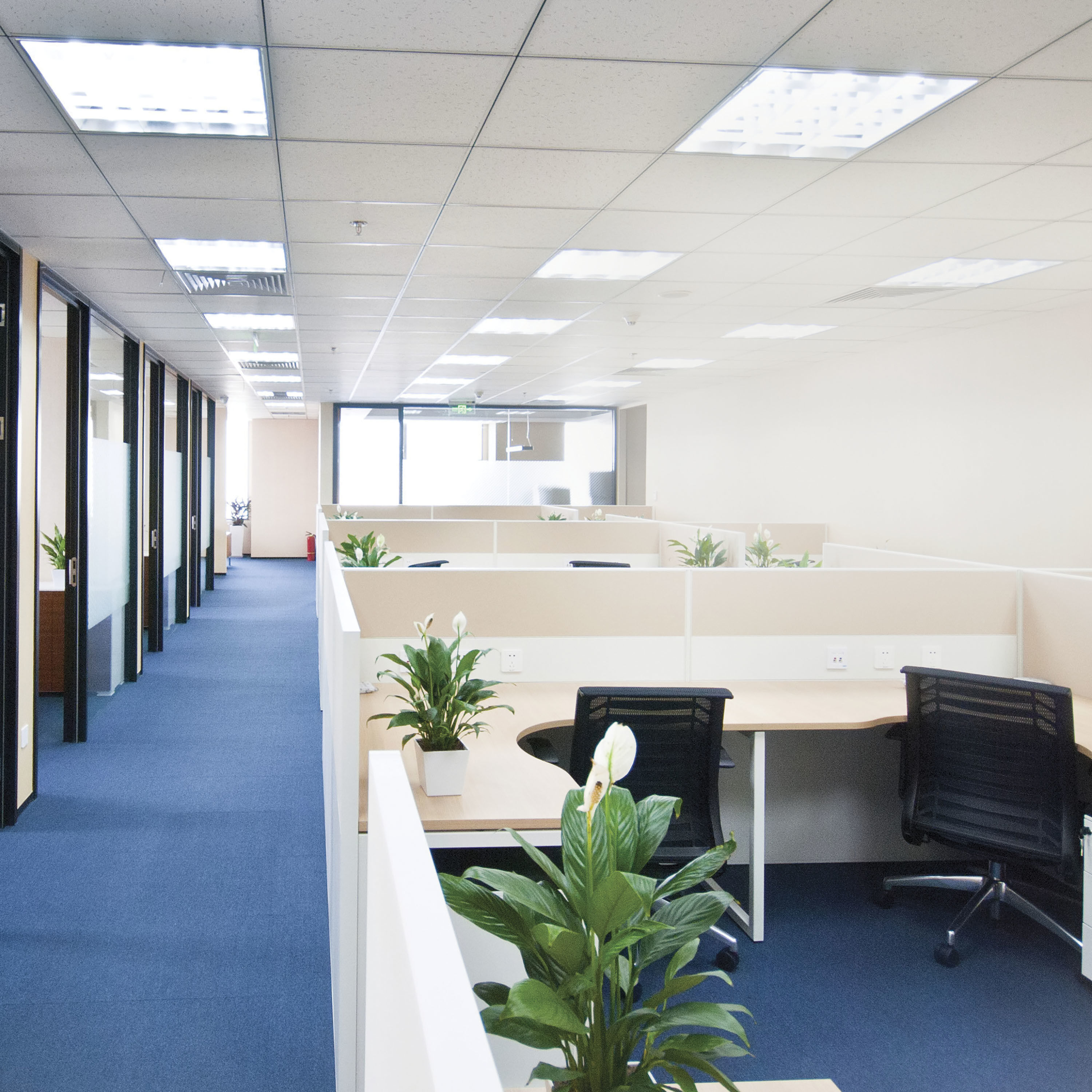 Lumos LED Medium Bi Pin 10.00 watt 120 3000K Light Bulb