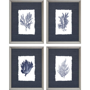 Naturals Blue and White Framed Art