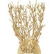 Sea Fan 2 Light 7.75 inch Gold Gilt Wall Sconce Wall Light, Aviva Stanoff Collection