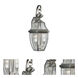 Signature 2 Light 21 inch Antique Pewter Outdoor Wall Light