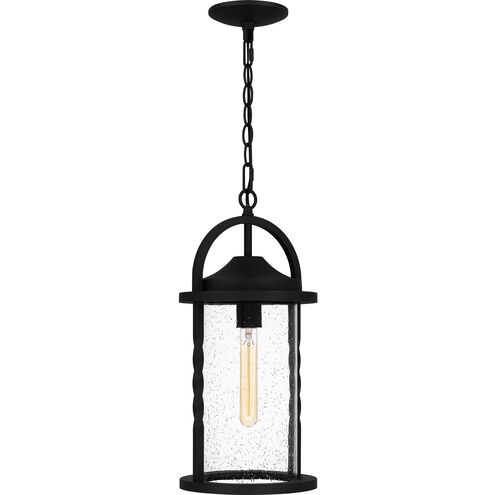 Reece 1 Light 8.75 inch Earth Black Outdoor Hanging Lantern