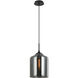 Irresistible Organic Charm 1 Light 9.88 inch Smoke Pendant Ceiling Light