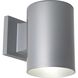 Cylinder Outdoor Wall Cylinder in Metallic Grey, Standard Lamping