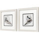Ocean Treasure Brown and Blue and Gray and Green Framed Art, Propac