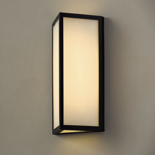 Irvin LED 15.25 inch Black Outdoor Wall Lantern