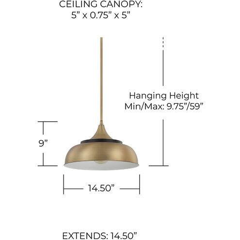 Max 1 Light 14.5 inch Brass and Onyx Pendant Ceiling Light