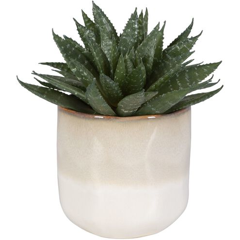 Doha Green with Beige And Tan Glaze Succulent Accent