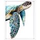 Animals Collection Turquoise Framed Art