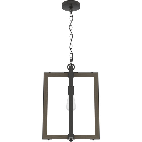 Woodburn 1 Light 14 inch Noble Bronze Pendant Ceiling Light