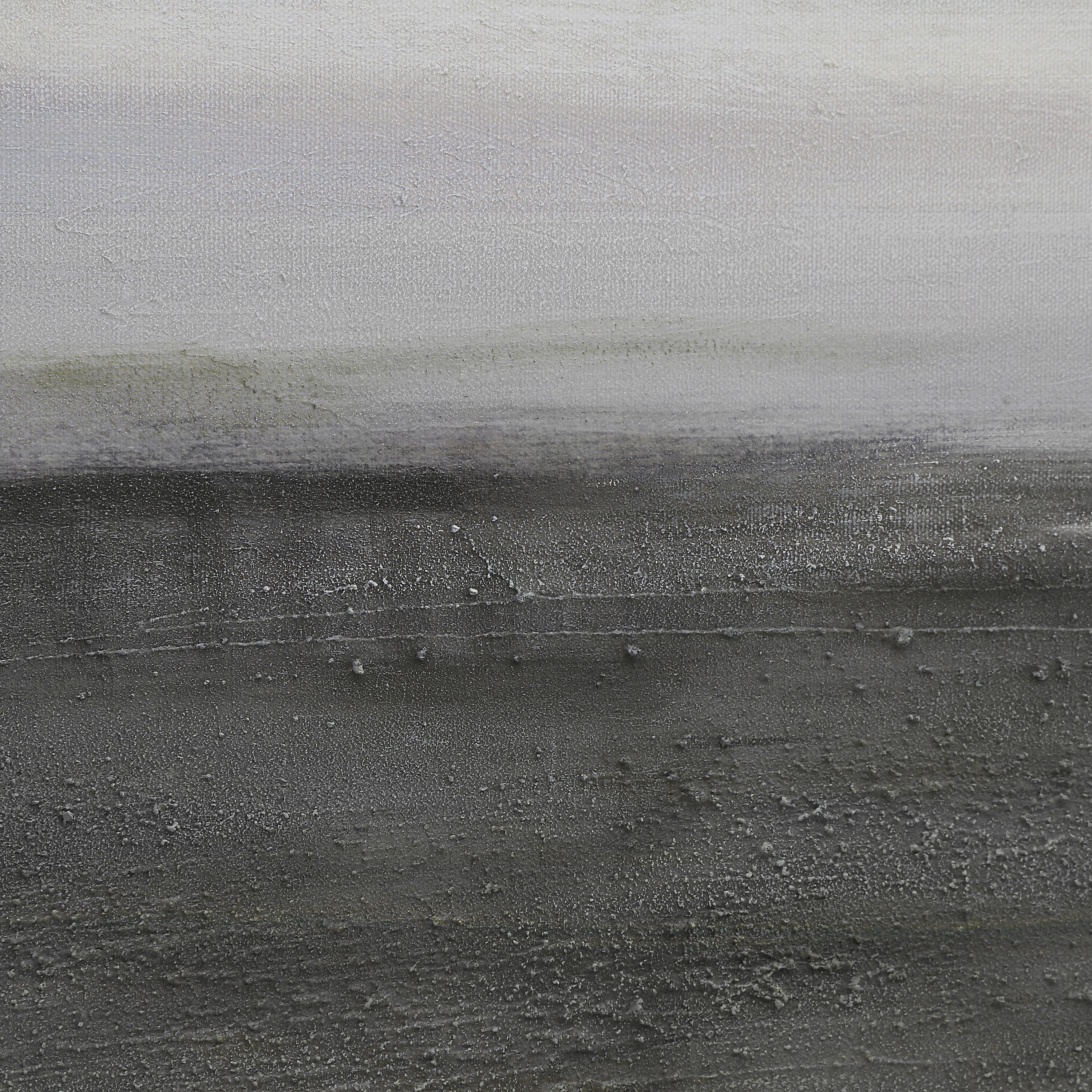 Cielo Multicolor and Black Oak Canvas Art