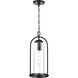 Luxio 1 Light 8.25 inch Powder Coated Black Outdoor Hanging Lantern