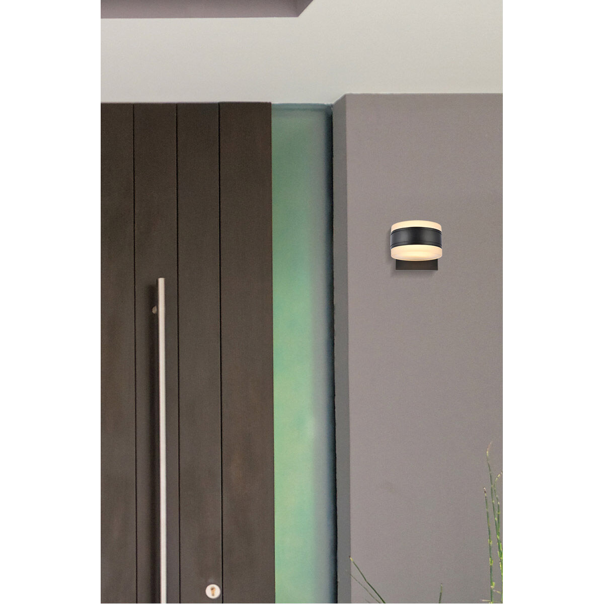 Raine Outdoor Wall Light in Black