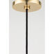 Dani LED 14 inch Aged Brass Pendant Ceiling Light