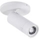 Brentwood LED 4.6 inch Matte White Flush Mount Ceiling Light