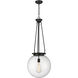 Beacon 1 Light 15.75 inch Matte Black Pendant Ceiling Light