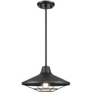 Outdoor Pendants / Chandeliers
