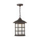 Freeport LED 10 inch Oil Rubbed Bronze Outdoor Hanging Light