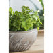 Girl Gray Planter