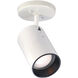 Brentwood 1 Light White Semi Flush Mount Ceiling Light