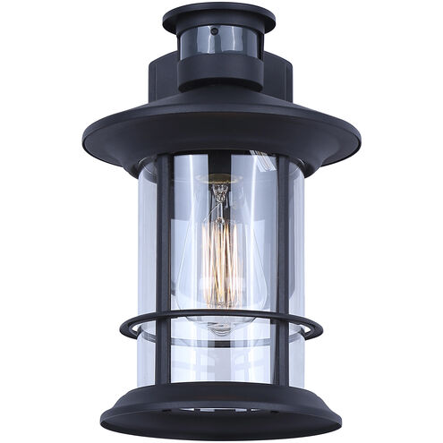 Dakota 1 Light 12.5 inch Black Outdoor Wall Lantern