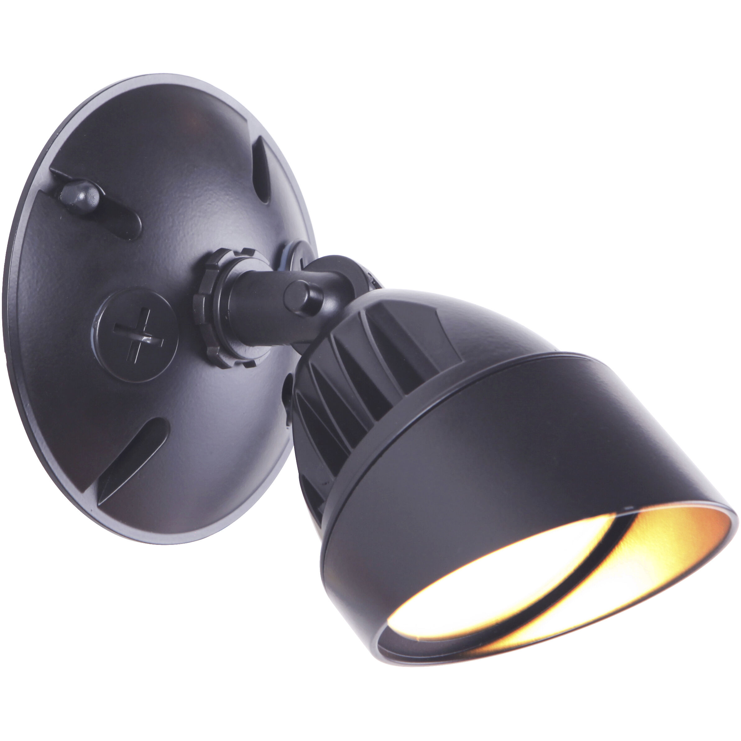 Bejamin LED Midnight Outdoor Flood