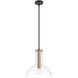 Nova 1 Light 14 inch Matte Black Pendant Ceiling Light