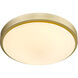 Gabi LED 12 inch Brushed Champagne Bronze Flush Mount Ceiling Light