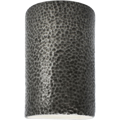 Ambiance 1 Light 9.5 inch Hammered Pewter Outdoor Wall Sconce, Form+Finish+Function