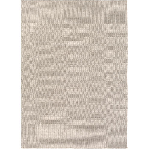 Ravena 36 X 24 inch Light Gray, Beige, Taupe Rug