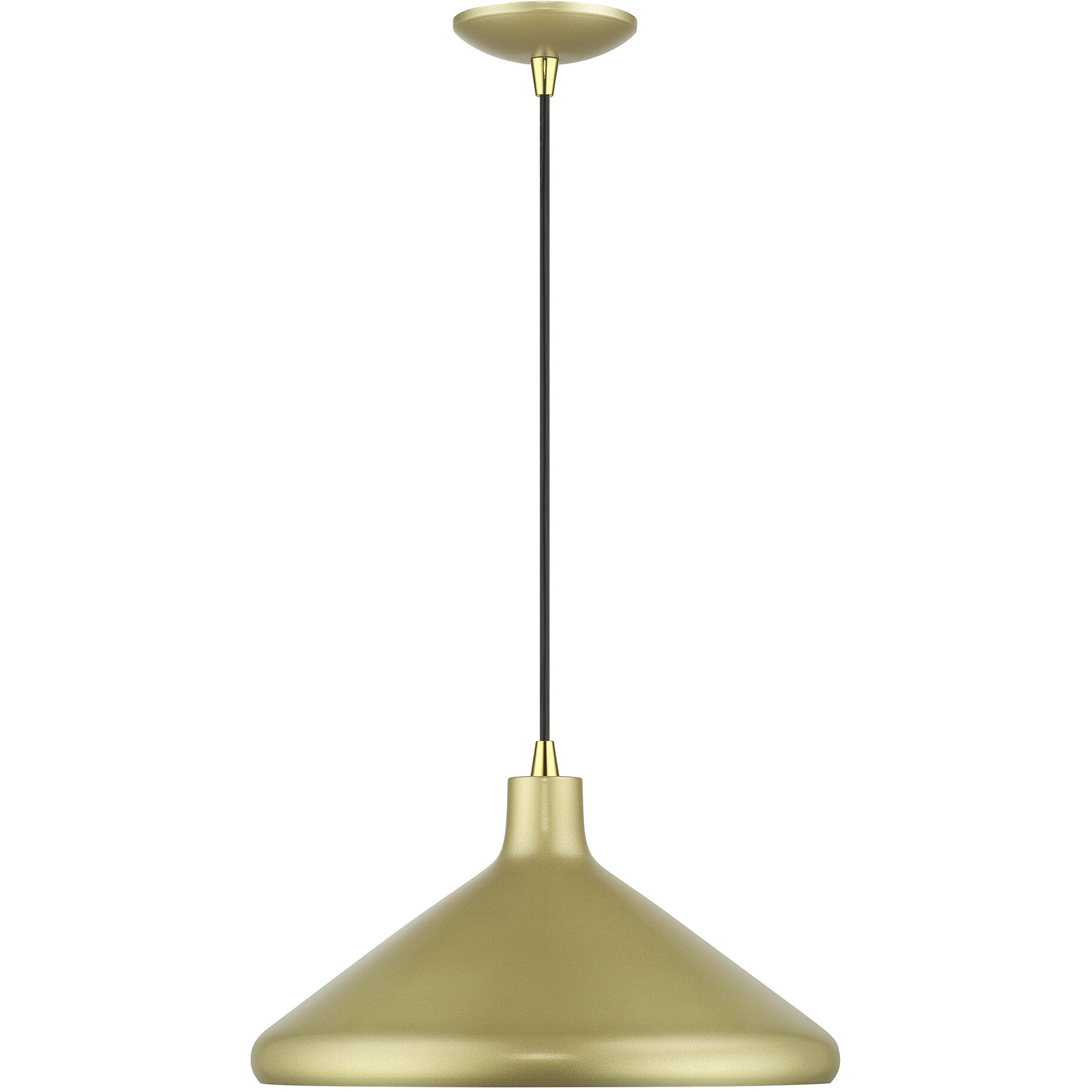 Geneva 1 Light 15.25 inch Soft Gold with Polished Brass Accents Pendant Ceiling Light