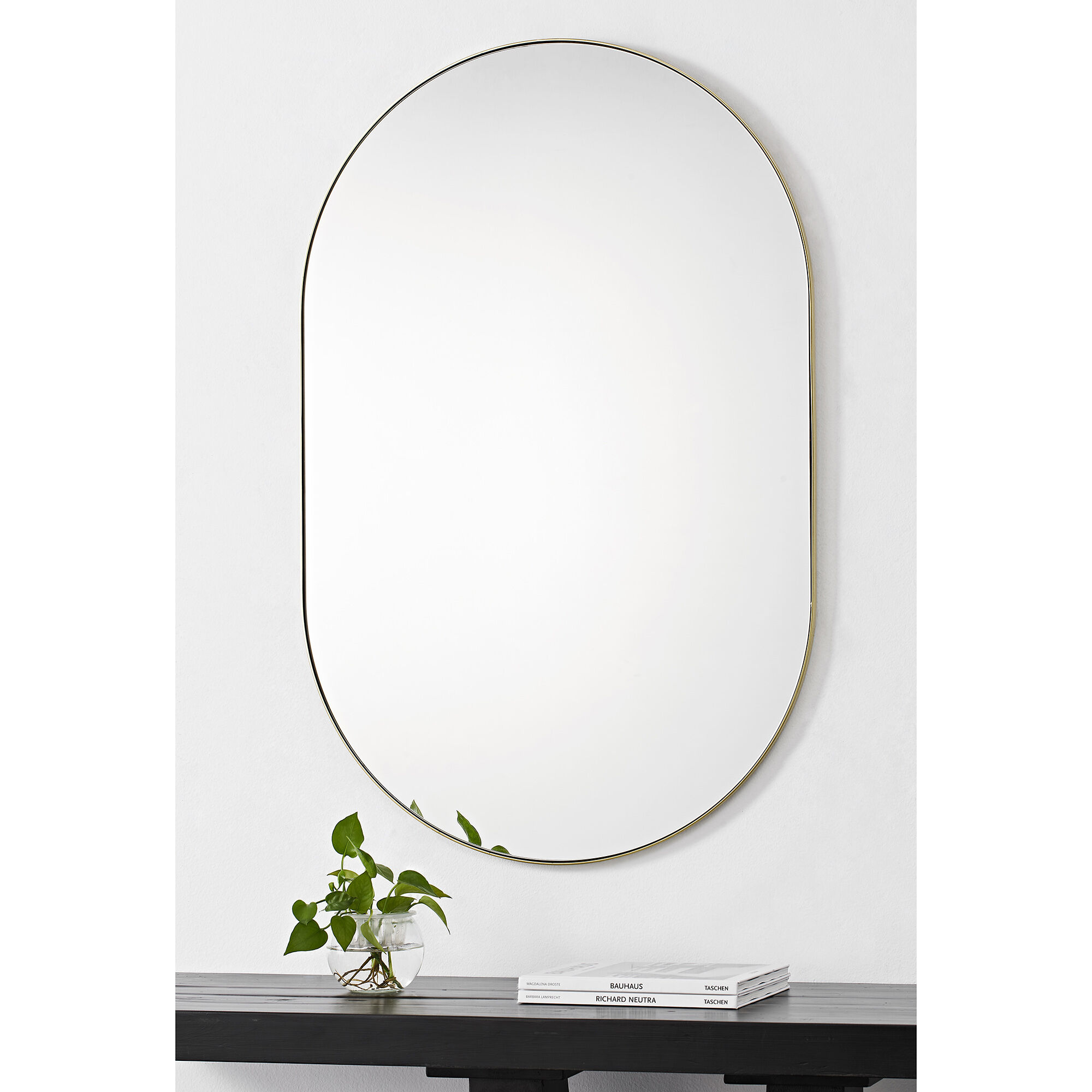 Beckah 40 X 26 inch Satin Brass and Clear Mirror
